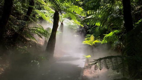 Australian National Botanic Gardens - Sunshine Coast Guide 4