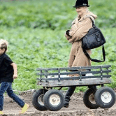 Perth City Farm Organic Markets - Sunshine Coast Guide