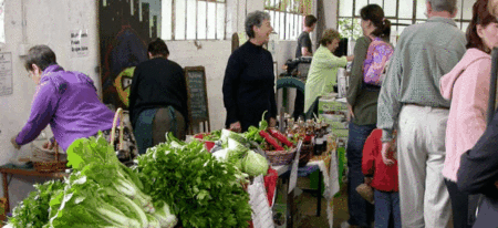 Perth City Farm Organic Markets - Sunshine Coast Guide 2