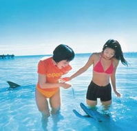 Kookaburra Air - Sunshine Coast Guide