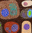 Turner Galleries - Sunshine Coast Guide