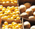Brisbane Markets - Sunshine Coast Guide