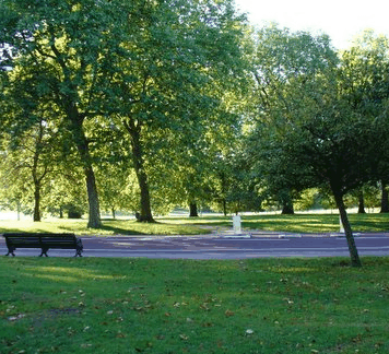 William Taylor Park - Sunshine Coast Guide 0