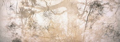 Dianne Tanzer Gallery & Projects - Sunshine Coast Guide 3