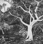 Tacit Contemporary Art - Sunshine Coast Guide 0