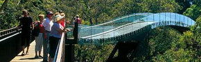 Kings Park Botanic Gardens - Sunshine Coast Guide 1