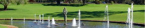 Kings Park Botanic Gardens - Sunshine Coast Guide 3