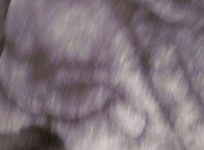 69 Smith Street - Sunshine Coast Guide 1