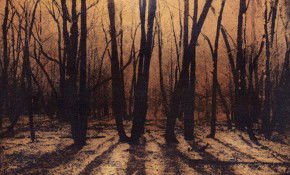 69 Smith Street - Sunshine Coast Guide 2