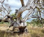 Colour Factory Gallery - Sunshine Coast Guide 3