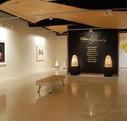 Counihan Gallery In Brunswick - Sunshine Coast Guide