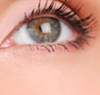 Cinnamon Stix Hair  Day Spa - Sunshine Coast Guide