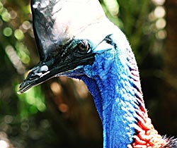  Sunshine Coast Guide