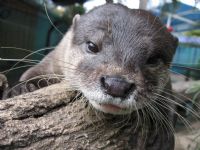 Underwater World - Sunshine Coast Guide 1