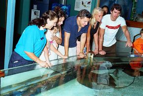 Underwater World - Sunshine Coast Guide 3