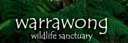 Warrawong Wildlife Park - Sunshine Coast Guide 0