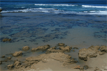 Canberra Contemporary Art Space - Sunshine Coast Guide 0