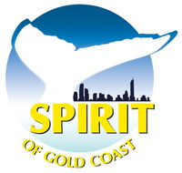 Spirit of Gold Coast Whale Watching - Sunshine Coast Guide