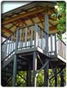 Amaze 'n' Place - Sunshine Coast Guide 0
