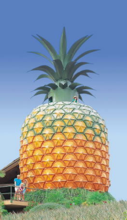 The Big Pineapple - Sunshine Coast Guide 0