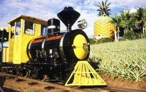 The Big Pineapple - Sunshine Coast Guide 3