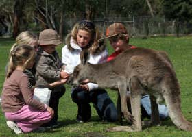 Gumbuya Park - Sunshine Coast Guide 1