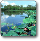 Kakadu National Park - Sunshine Coast Guide 3