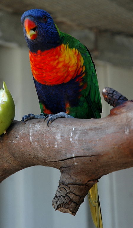 Bunbury Wildlife Park - Sunshine Coast Guide 3