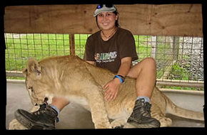 Cairns Wildlife Safari Reserve - Sunshine Coast Guide 1
