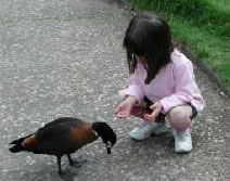 Urimbirra Wildlife Park - Sunshine Coast Guide 3