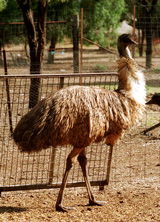 Waterways Wildlife Park - Sunshine Coast Guide 2