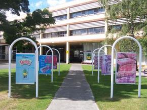 Cadbury Chocolate Factory Tour - Sunshine Coast Guide 2