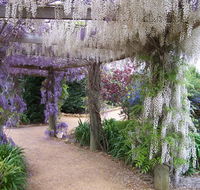 Abingdon Miniature Village - Sunshine Coast Guide