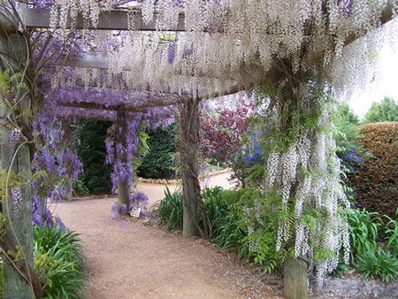 Abingdon Miniature Village - Sunshine Coast Guide 0