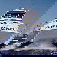 Sunshine Coast Fishing Charters - Sunshine Coast Guide 0