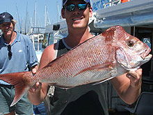 Sunshine Coast Fishing Charters - Sunshine Coast Guide 2