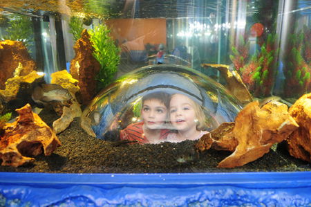 Scitech - Sunshine Coast Guide 3
