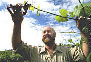 Barossa Experience Tours - Sunshine Coast Guide 0