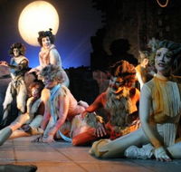 Harvest Rain Theatre Company - Sunshine Coast Guide