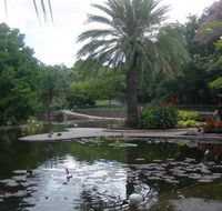 Brisbane City Botanic Gardens - Sunshine Coast Guide