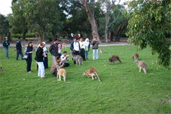 Caversham Wildlife Park - Sunshine Coast Guide 2