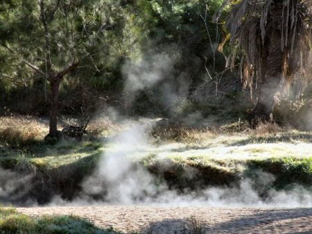 Innot Hot Springs Leisure & Health Park - Sunshine Coast Guide 3