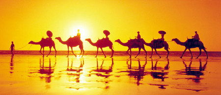 Banksia Adventures - Sunshine Coast Guide 1