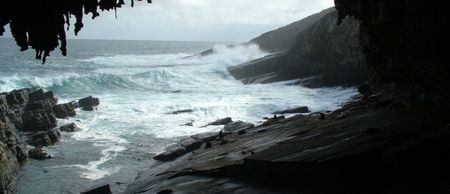 Banksia Adventures - Sunshine Coast Guide 2