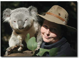 Koala Park Sanctuary - Sunshine Coast Guide 2