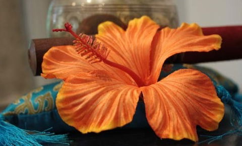 Annasha Day Spa Retreat - Sunshine Coast Guide 5