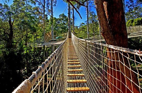 FreemanX Experience - Sunshine Coast Guide 2