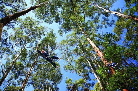FreemanX Experience - Sunshine Coast Guide 5