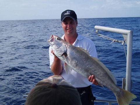 Blue Juice Charters - Sunshine Coast Guide 1