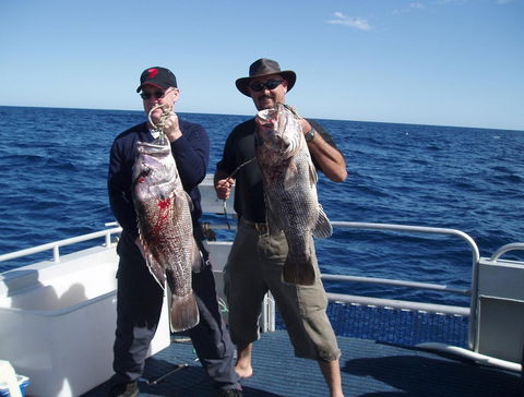 Blue Juice Charters - Sunshine Coast Guide 2